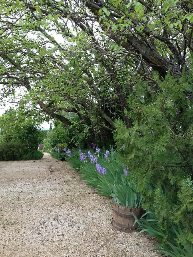 Bed & Breakfast B&B Contemporain Le Jardin Vaison-la-Romaine