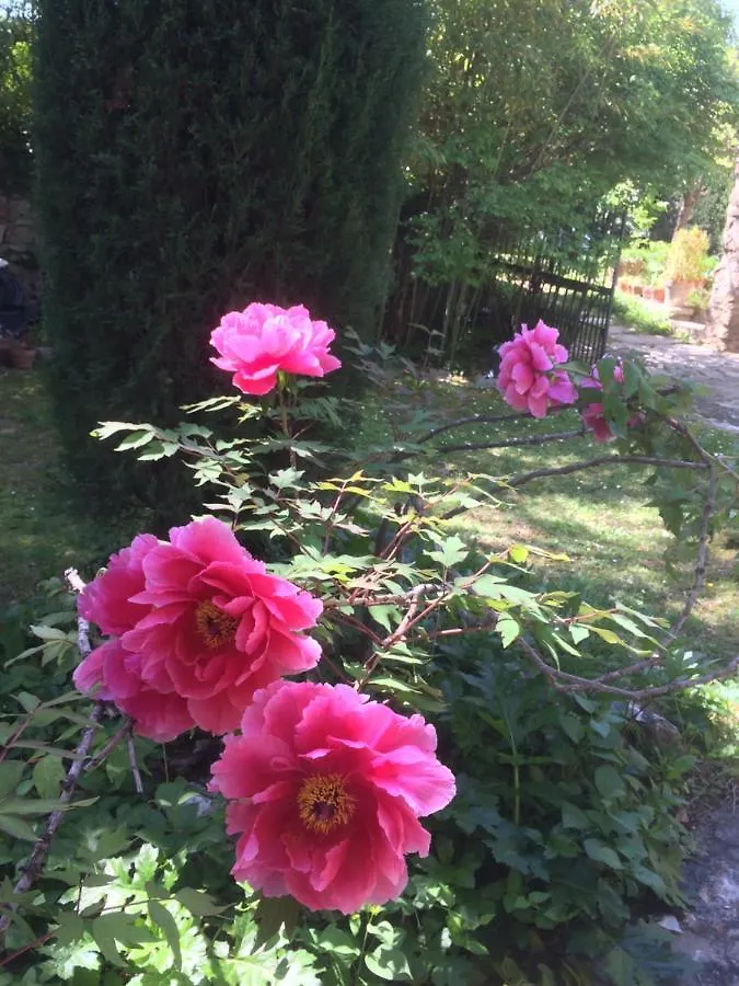 B&B Contemporain Le Jardin Vaison-la-Romaine 0*,  France